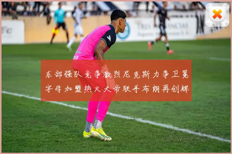 东部强队竞争激烈尼克斯力争卫冕字母加盟热火大帝联手布朗再创辉煌